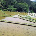 【直虎ゆかりの地めぐり】竜宮小僧伝説の地、久留女木の棚田で癒されてきました♪