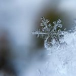 【自作短歌】初雪の今日も私は独りです不器用なのは生まれつきです　(朝倉冴希)