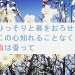 【自作短歌】ひっそりと幕をおろせばこの心知れることなく梅は香って　(朝倉冴希)