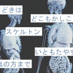 【自作短歌】いまどきはどこもかしこもスケルトンいともたやすく奥の方まで　(朝倉冴希)