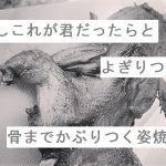 【自作短歌】もしこれが君だったらとよぎりつつ骨までかぶりつく姿焼き　(朝倉冴希)