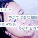 【自作短歌】膨らんでやがては萎む細胞に湯を注ぎ込みあなたを待つの　(朝倉冴希)