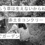 【自作短歌】「もう草は生えないからね」赤土をコンクリートで塞ぐガーデン　(朝倉冴希)