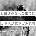 【自作短歌】創造と破壊のなれの果てにあるカラスが集うごみ集積所　(朝倉冴希)