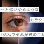 【自作短歌】破滅へと追いやるようなカラクリを仕込んでそれが君の手柄だ　(朝倉冴希)