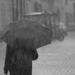 【今日の短歌】大粒の雨降り出して気付きたり空間はああ隙間だらけと　(栗木京子)