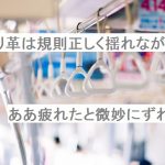 【自作短歌】つり革は規則正しく揺れながらああ疲れたと微妙にずれる　(朝倉冴希)