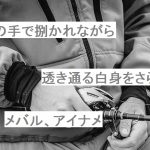 【自作短歌】父の手で捌かれながら透き通る白身をさらすメバル、アイナメ　(朝倉冴希)