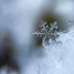 【今日の短歌】雪になりきれぬ弱さを真剣に地上へぶちまけろよみぞれ　(松木秀)